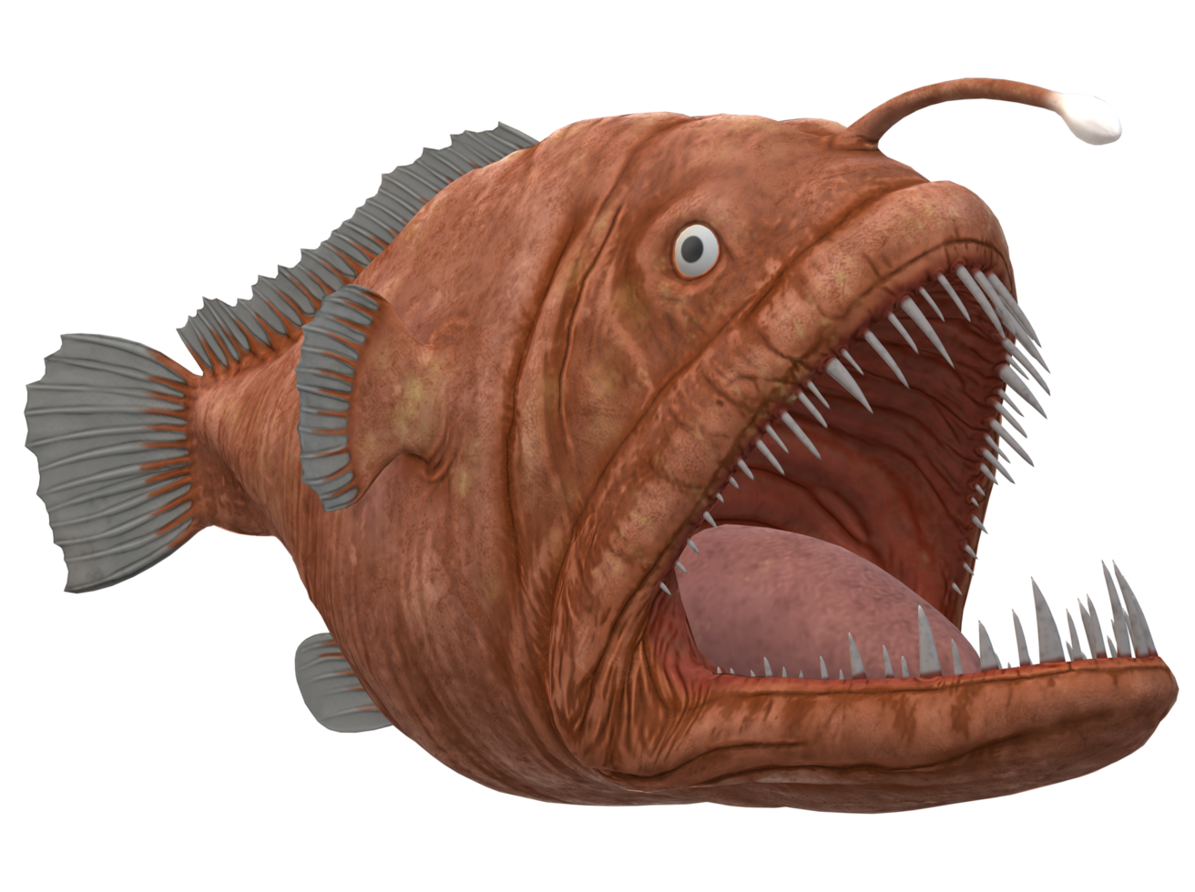 Angler Fish